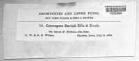 Image Associated With the Occurence